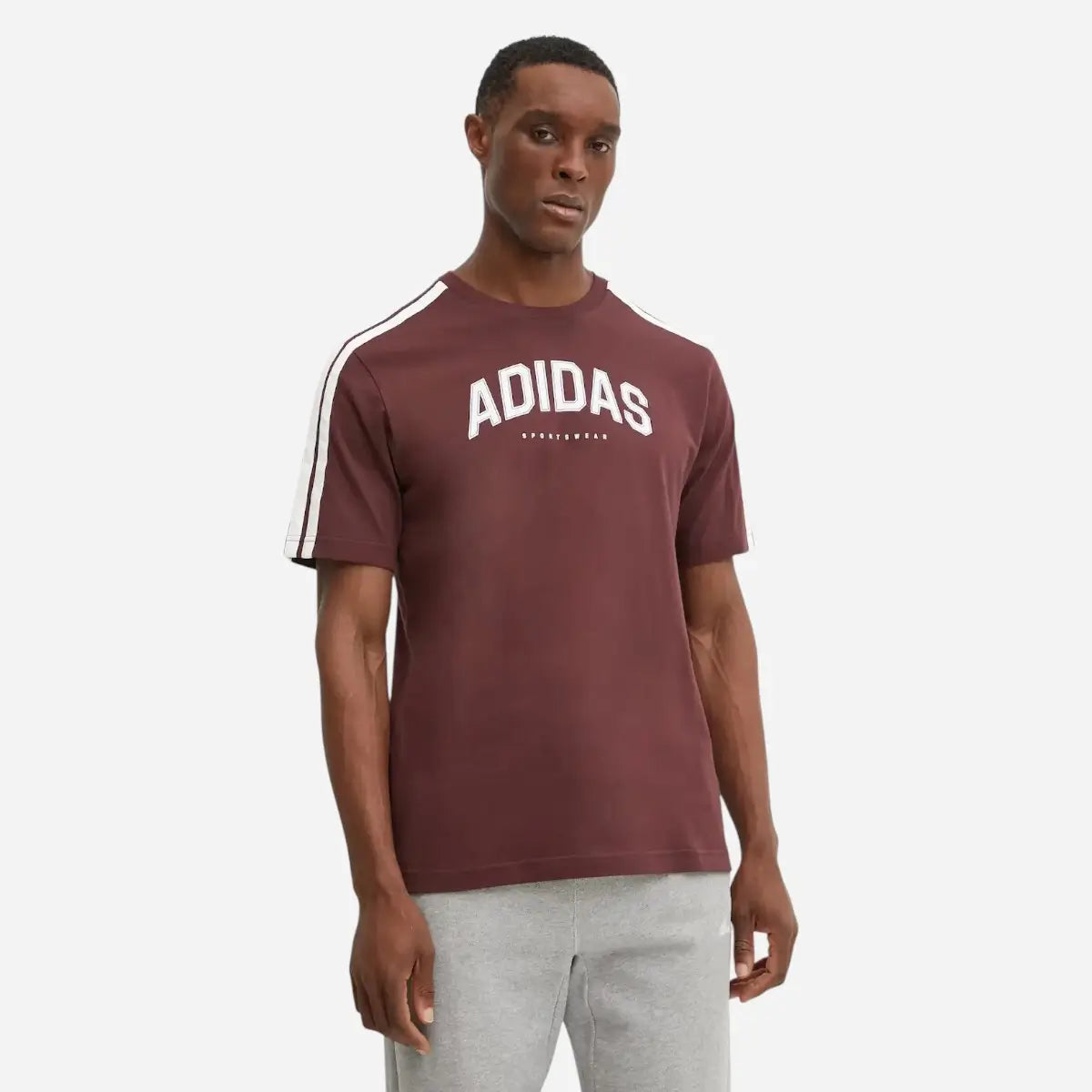 Adidas T-shirt Codes Collegiate Linear Graphic Bordeaux