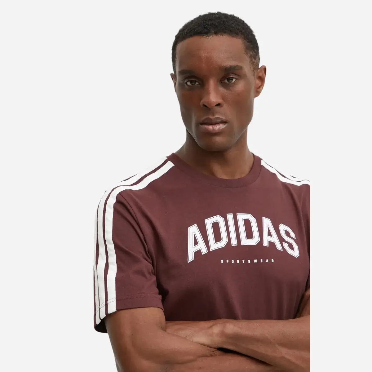 Adidas T-shirt Codes Collegiate Linear Graphic Bordeaux