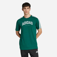 Adidas T-shirt Codes Collegiate Linear Graphic green