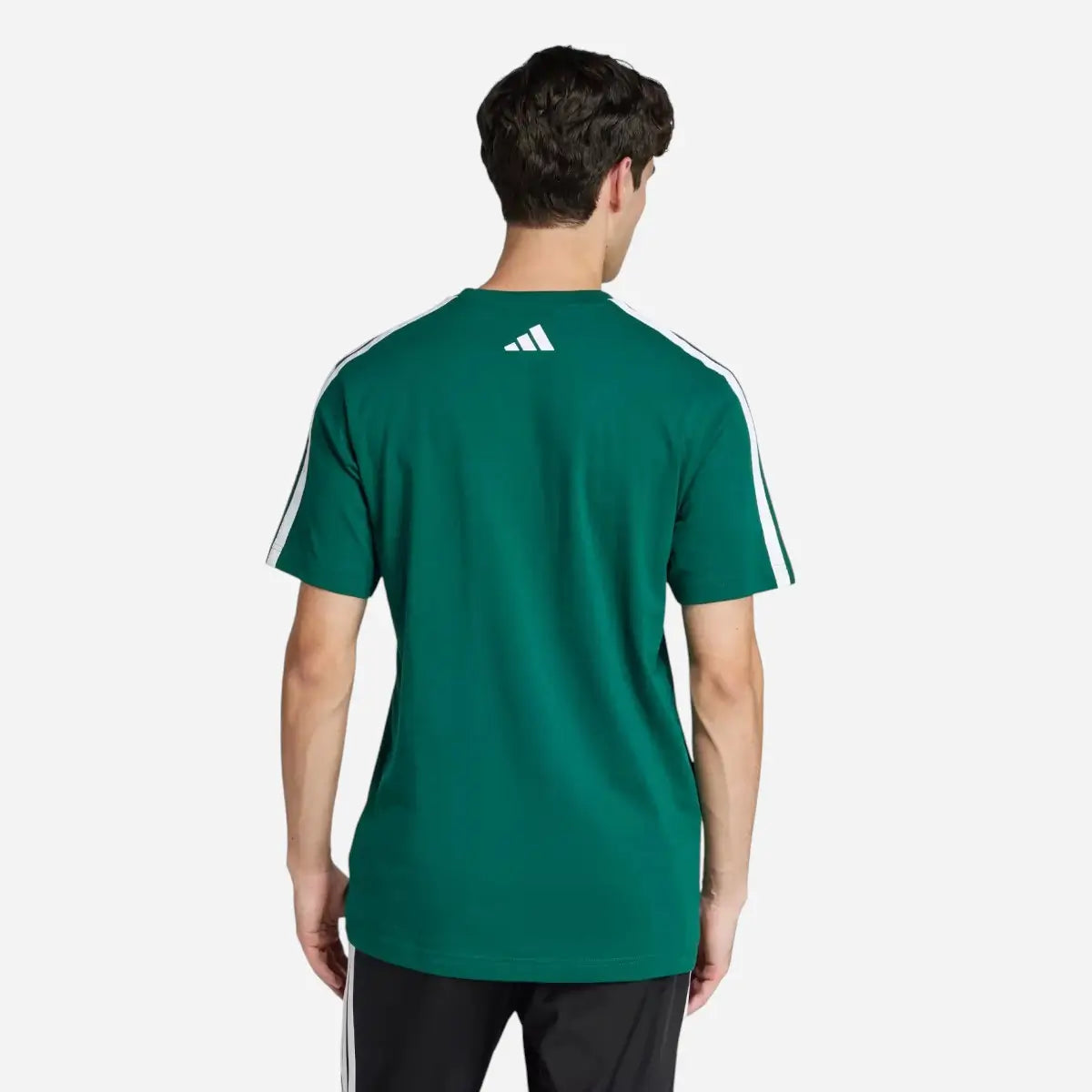 Adidas T-shirt Codes Collegiate Linear Graphic green