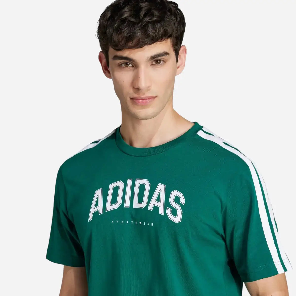 Adidas T-shirt Codes Collegiate Linear Graphic green