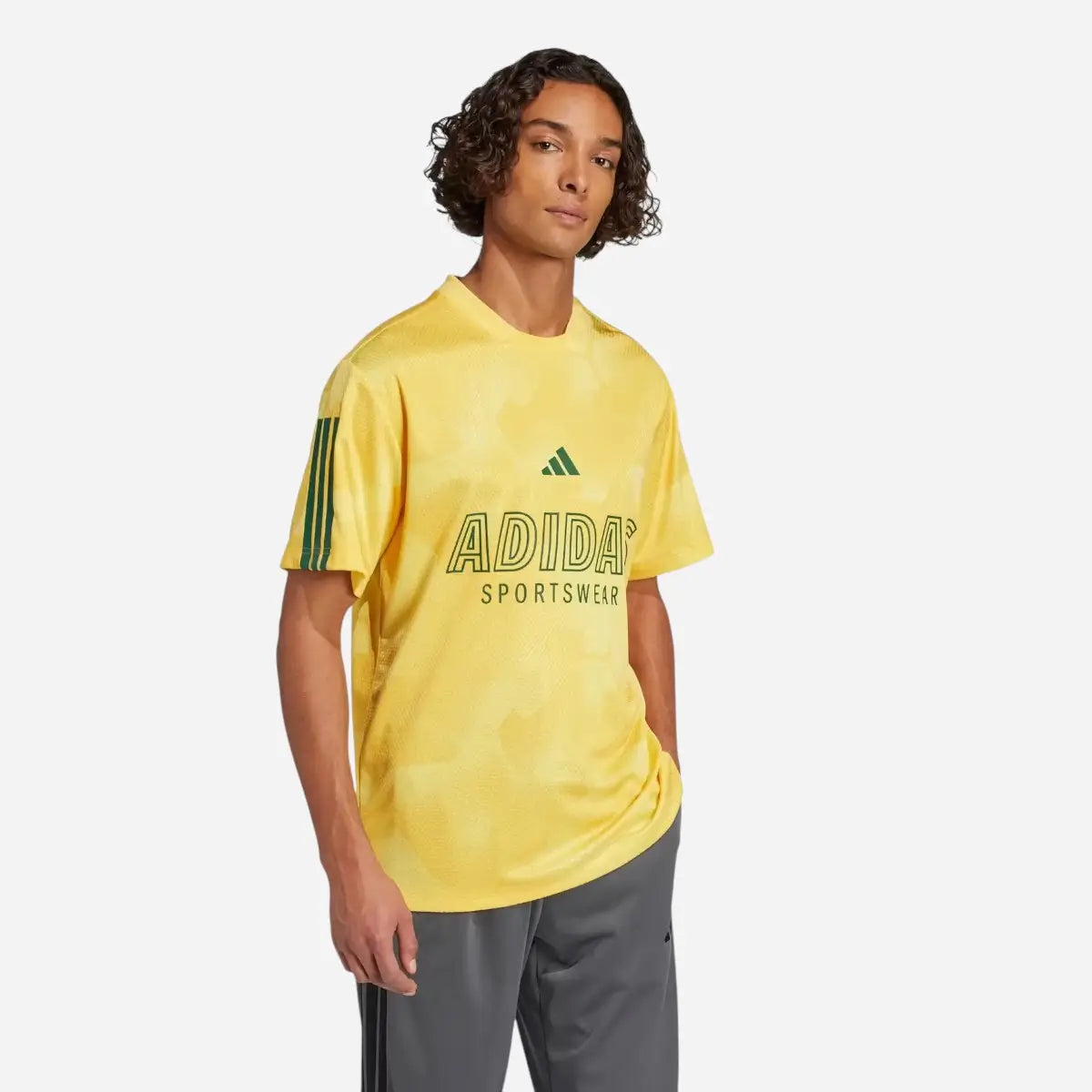 Adidas T-shirt House of Tiro Nations Pack Gold Green