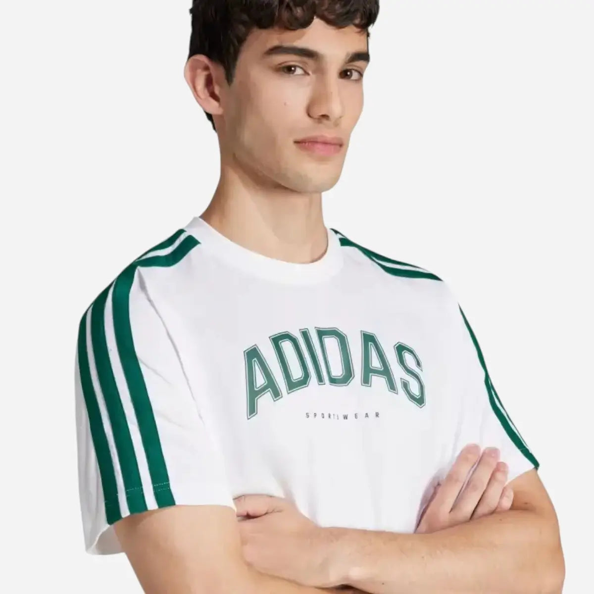Adidas T-shirt Codes Collegiate Linear Graphic white / green