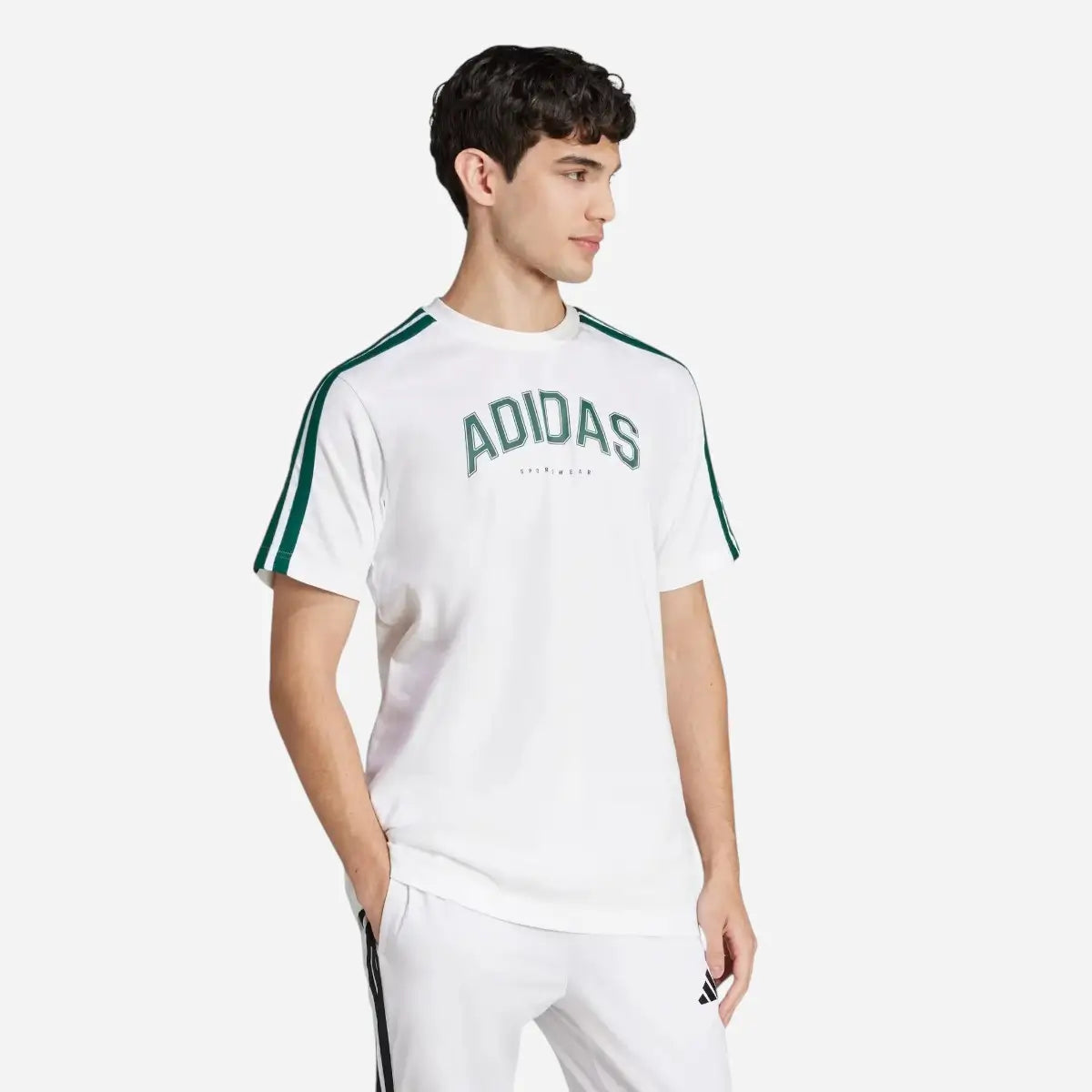 Adidas T-shirt Codes Collegiate Linear Graphic white / green