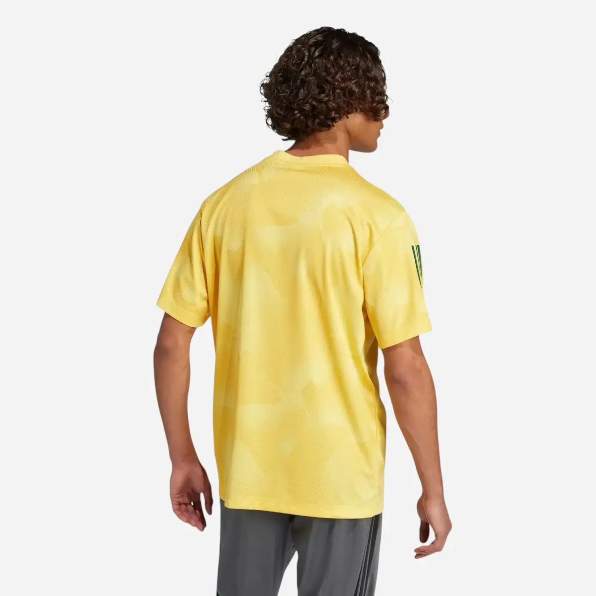 Adidas T-shirt House of Tiro Nations Pack Gold Green