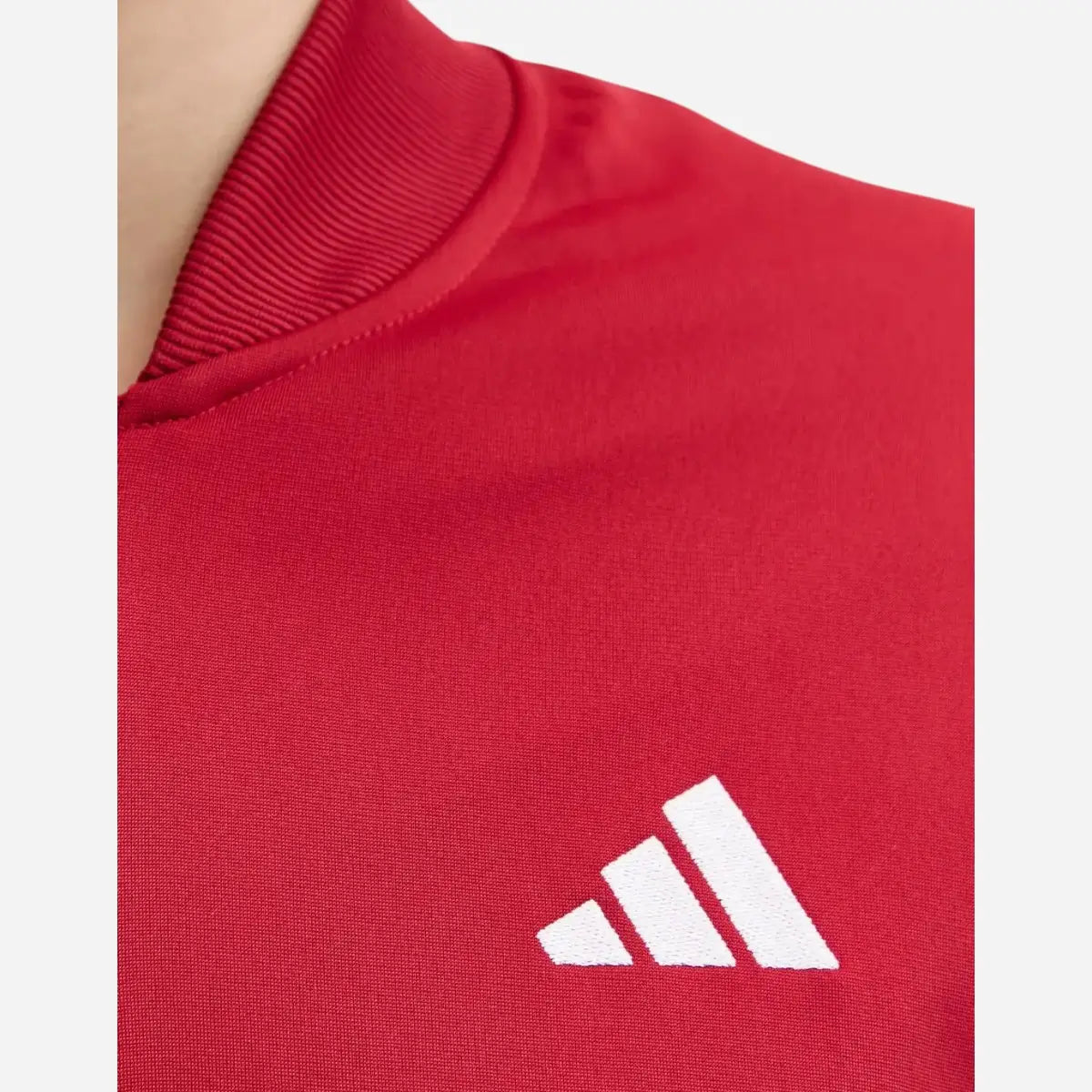 Adidas Tuta Dayready Track suit 3-Stripes Bordeaux