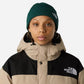 The North Face Berretto con risvolto e logo box TNF Duck Green