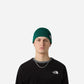 The North Face Berretto con risvolto e logo box TNF Evergreen