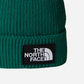 The North Face Berretto con risvolto e logo box TNF Evergreen